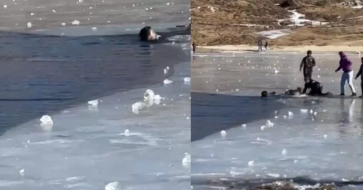 Tragedy at Sela Lake: Two Kerala Tourists Drown in Frozen Waters of Tawang; One Body Recovered, Search&nbsp;Ongoing