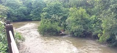 ಕೊಲ್ಲೂರು: ಭಾರೀ ಮಳೆಯಿಂದ ಸೌಪರ್ಣಿಕಾ ನದಿಯ ನೀರಿನ ಮಟ್ಟ ಏರಿಕೆ; ಭಕ್ತರಿಗೆ ನದಿಗಿಳಿಯಲು&nbsp;ನಿಷೇಧ