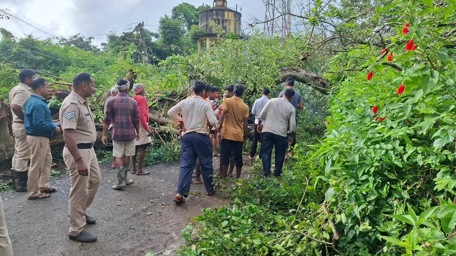 Yallapur: Tree Fall Claims Lives of Pregnant Woman and Student