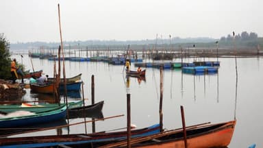 Gangolli: Fisherman Missing After Falling from Boat into Panchagangavali River
